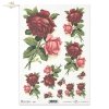rose, roses, burgundy, pink, flowers, flower, decorative and unique roses